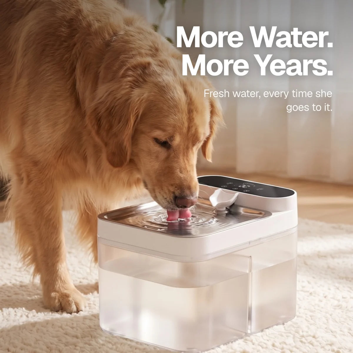 Crunchy Fountain — Filterless