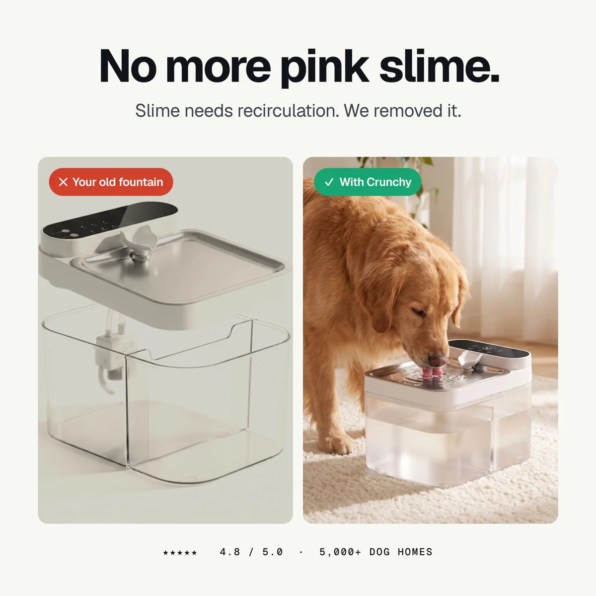Crunchy Fountain — Filterless