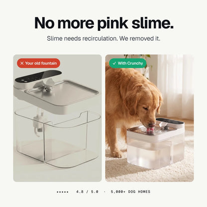 Crunchy Fountain — Filterless