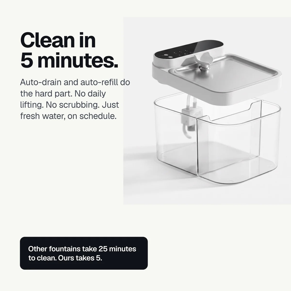 Crunchy Fountain — Filterless