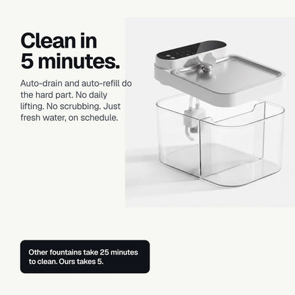 Crunchy Fountain — Filterless