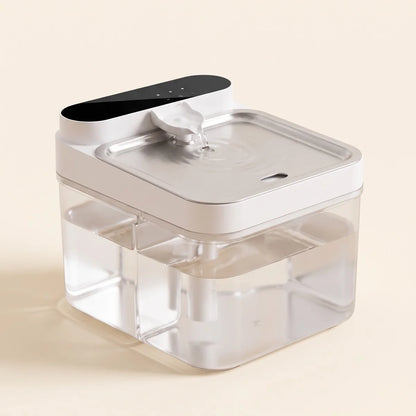 Crunchy Fountain — Filterless